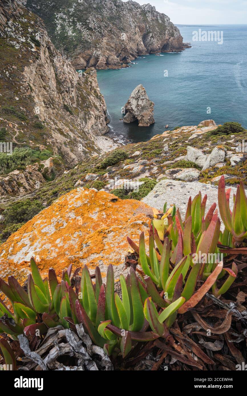 Falaises rocheuses au bord de la mer à la plage Lourical sur Cabo da Roca, Sintra, Portugal. Vertical Banque D'Images
