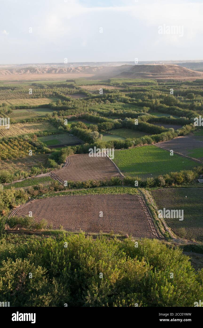 Terres agricoles dans la vallée du Tigre, en bordure de la ville kurde de Diyarbakir, dans la région orientale de l'Anatolie, dans le sud-est de la Turquie. Banque D'Images