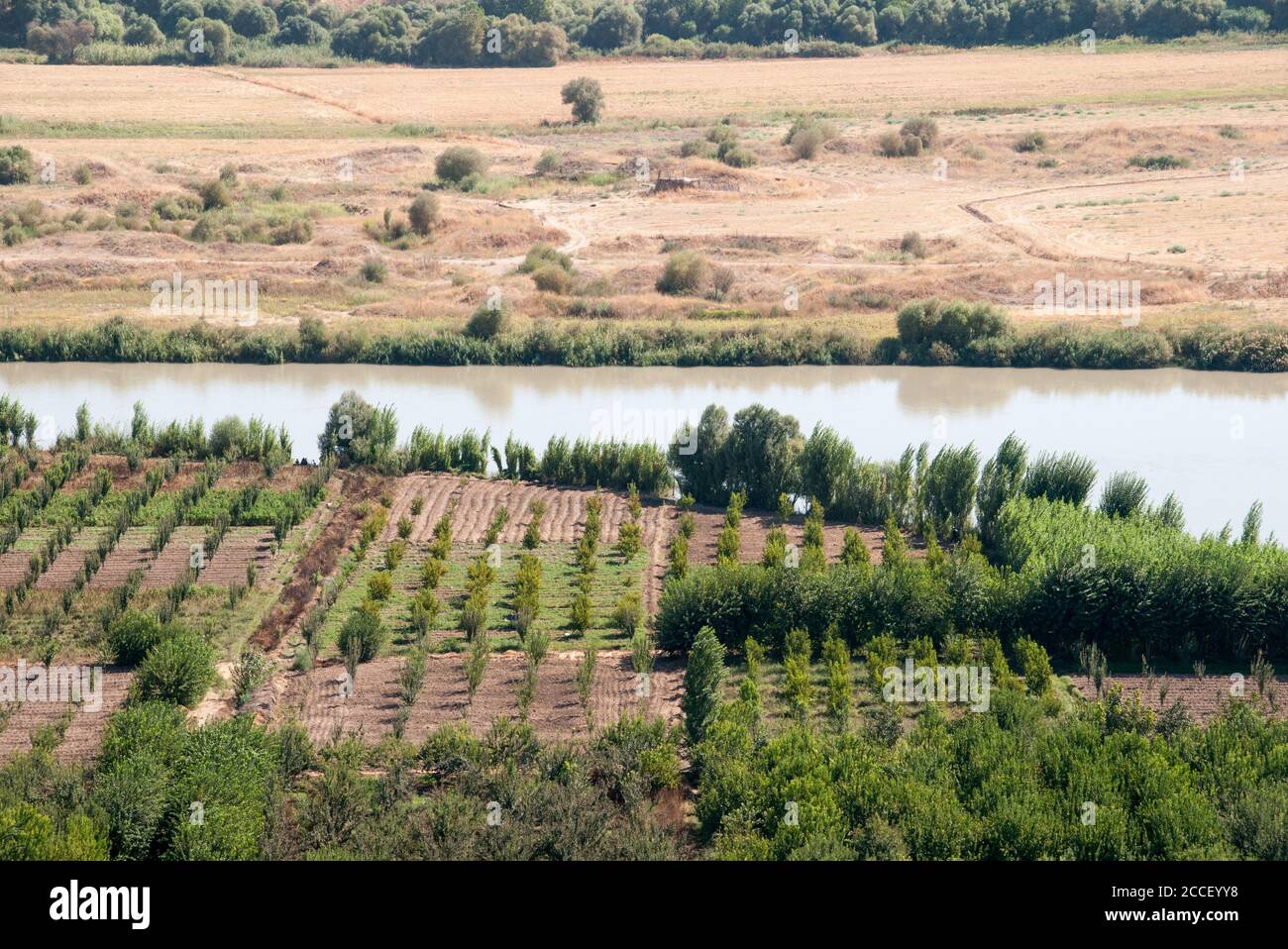 Terres agricoles dans la vallée du Tigre, en bordure de la ville kurde de Diyarbakir, dans la région orientale de l'Anatolie, dans le sud-est de la Turquie. Banque D'Images