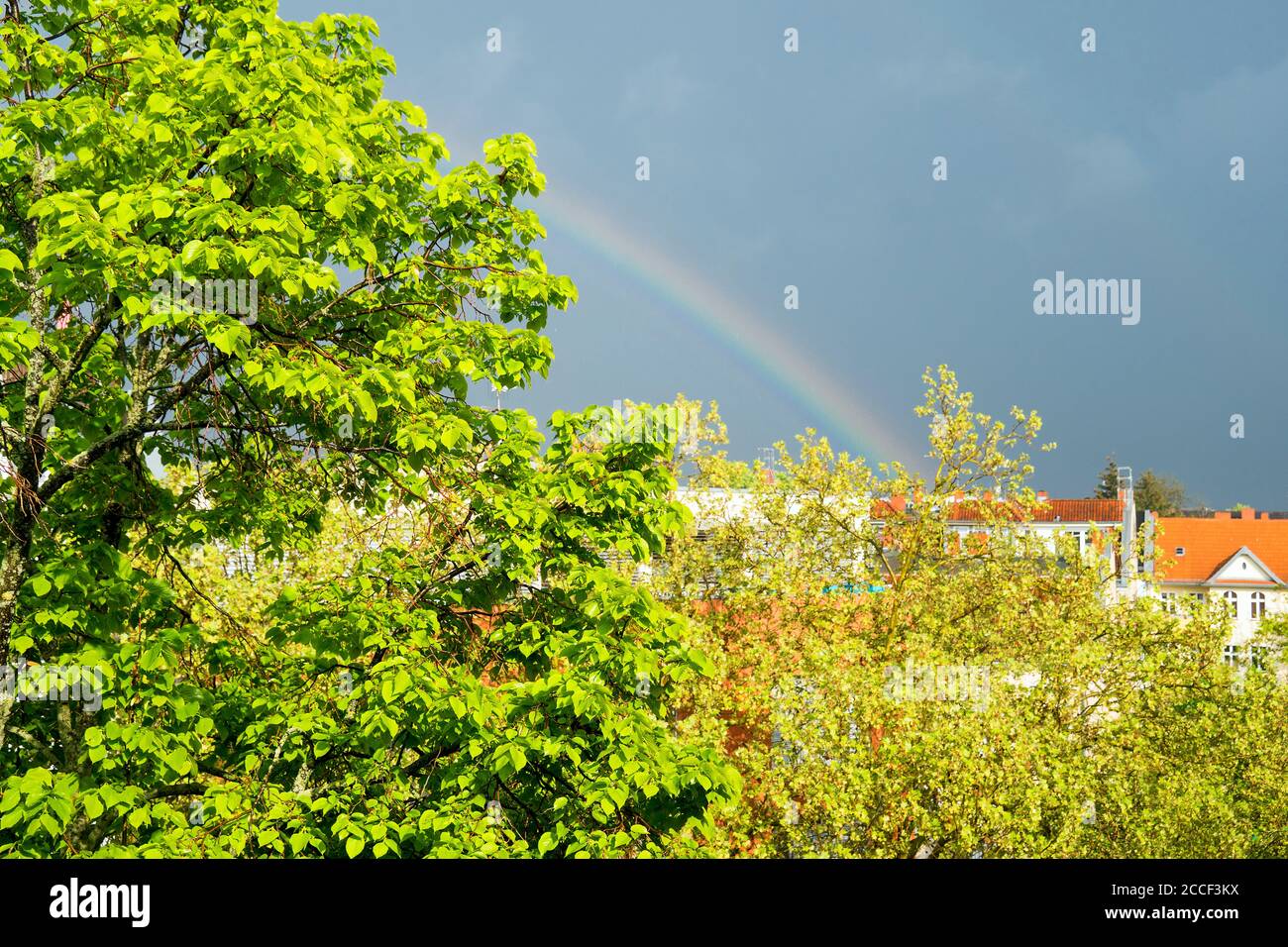 Berlin, rue, dernier étage, tilleul, rabot, arc-en-ciel Banque D'Images
