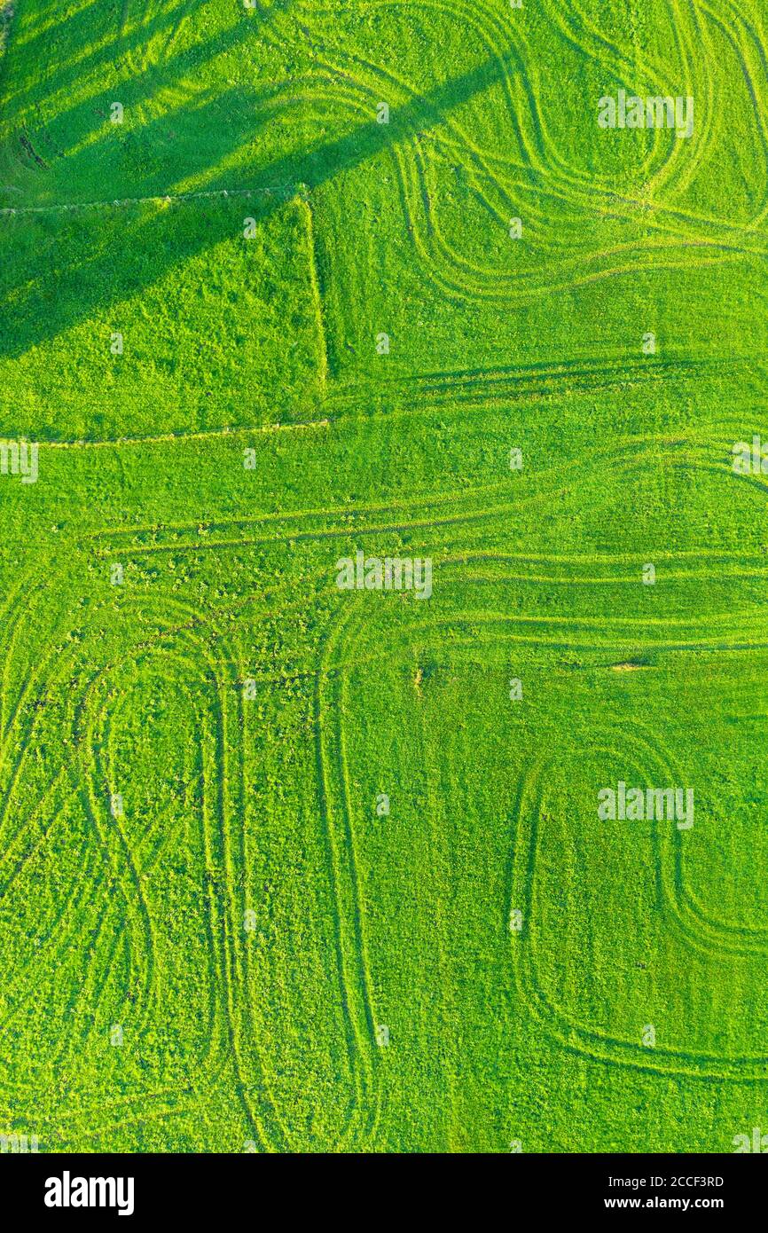 Prairies avec chenilles, près de Wackersberg, photo aérienne, haute-Bavière, Bavière, Allemagne Banque D'Images