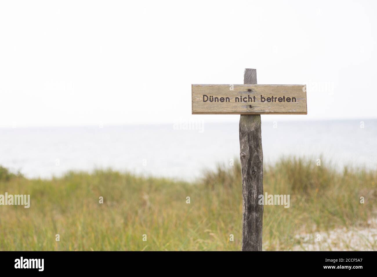 Panneau 'ne pas entrer dans les dunes' sur le Darß Banque D'Images