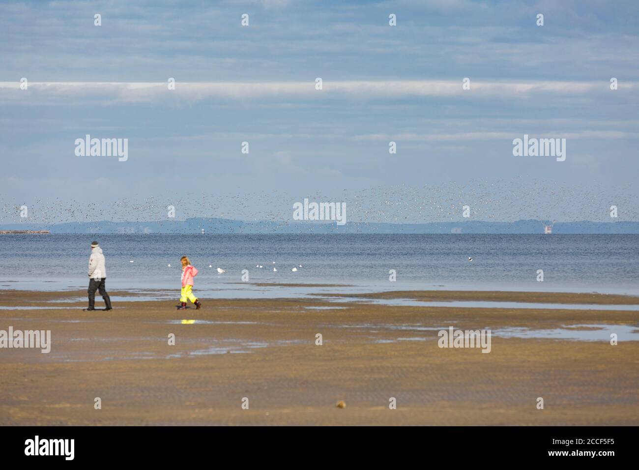 2 personnes et un énorme troupeau d'oiseaux près de Freest, en arrière-plan Rügen, Mecklenburg-Ouest Pomerania, Allemagne Banque D'Images