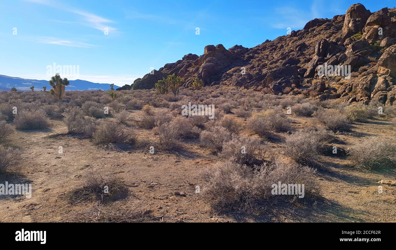 Paysage du désert du Nevada près de la zone 51 Banque D'Images
