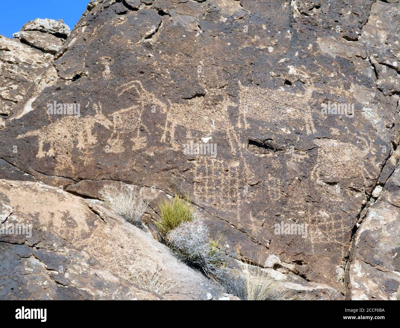 Pétroglyphes situés dans le Nevada États-Unis Banque D'Images