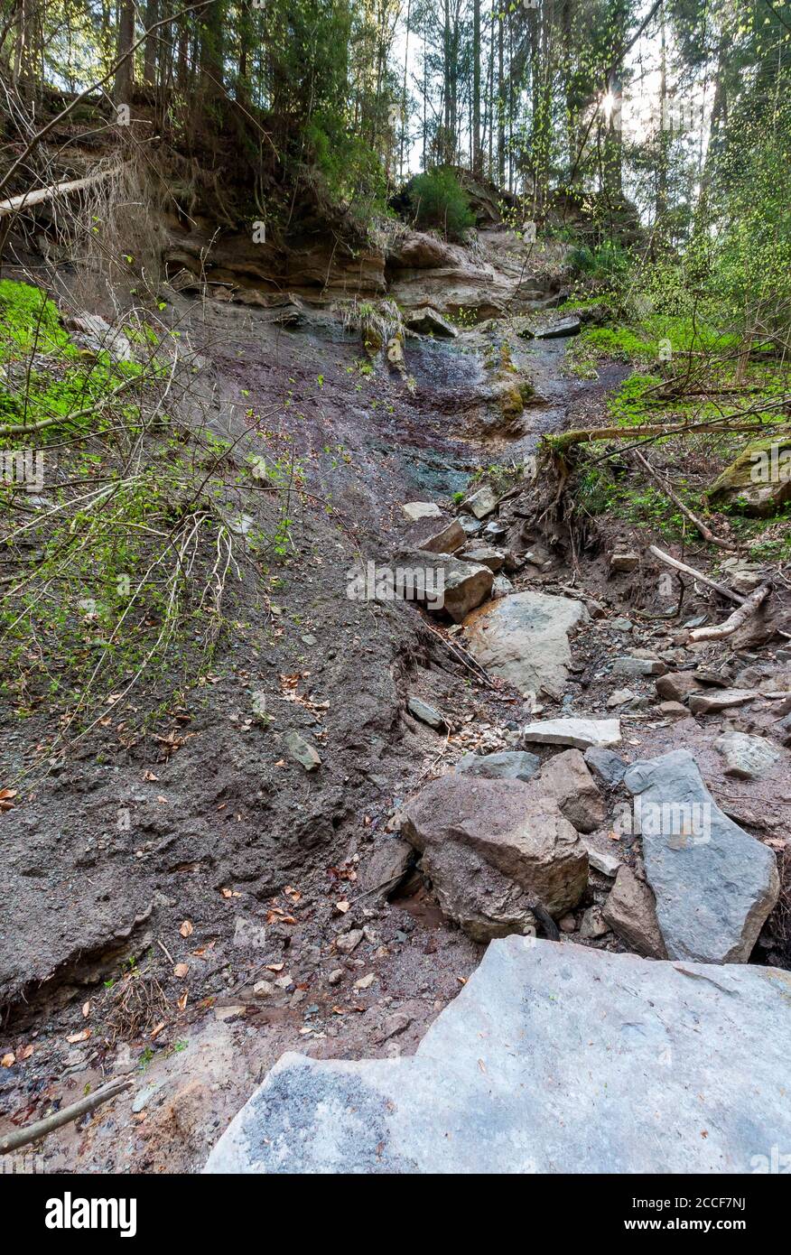 Allemagne Bade Wurtemberg Murrhardt Glissement De Terrain Dans La Gorge De Horschbach Dans Le Parc Naturel De La Foret De Schwabisch Franconian Photo Stock Alamy