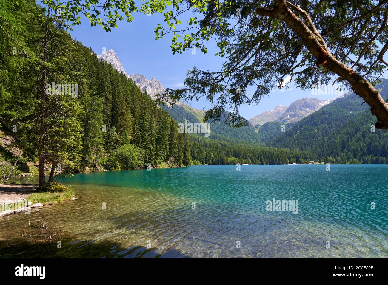 Le Antholzer Voir dans les montagnes du Parc naturel Rieserferner-AHRN, Vallée de Puster, Tyrol du Sud, Italie Banque D'Images