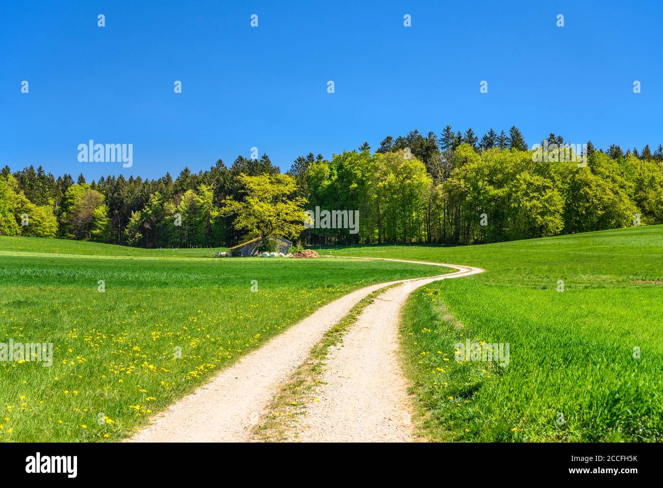 Allemagne, Bavière, haute-Bavière, Tölzer Land, Egling, Thanning district, paysage culturel Banque D'Images