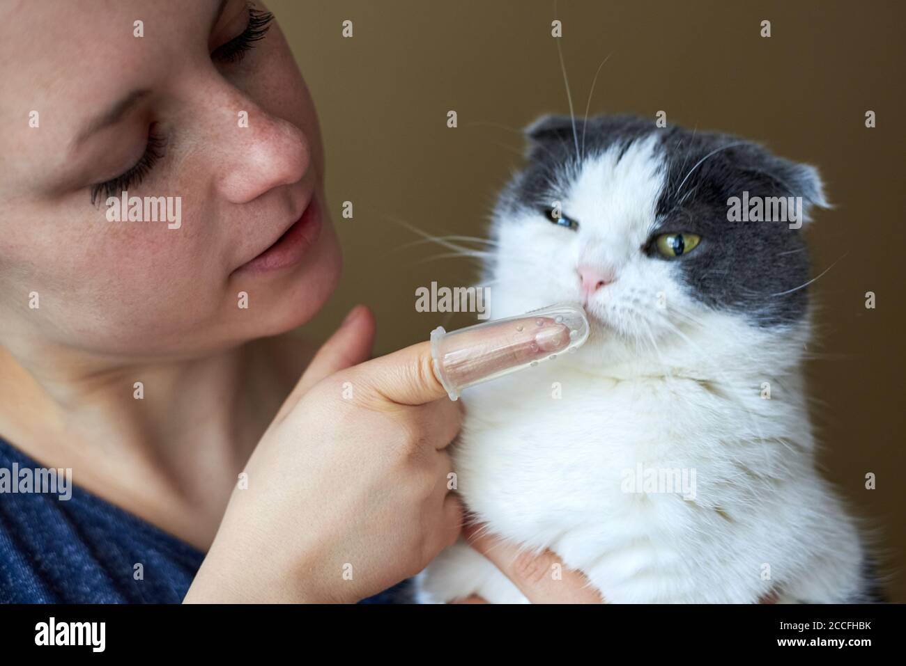 Une Femme Brosse Les Dents Du Chat Avec Une Brosse A Dents En Silicone Sur Son Doigt Photo Stock Alamy