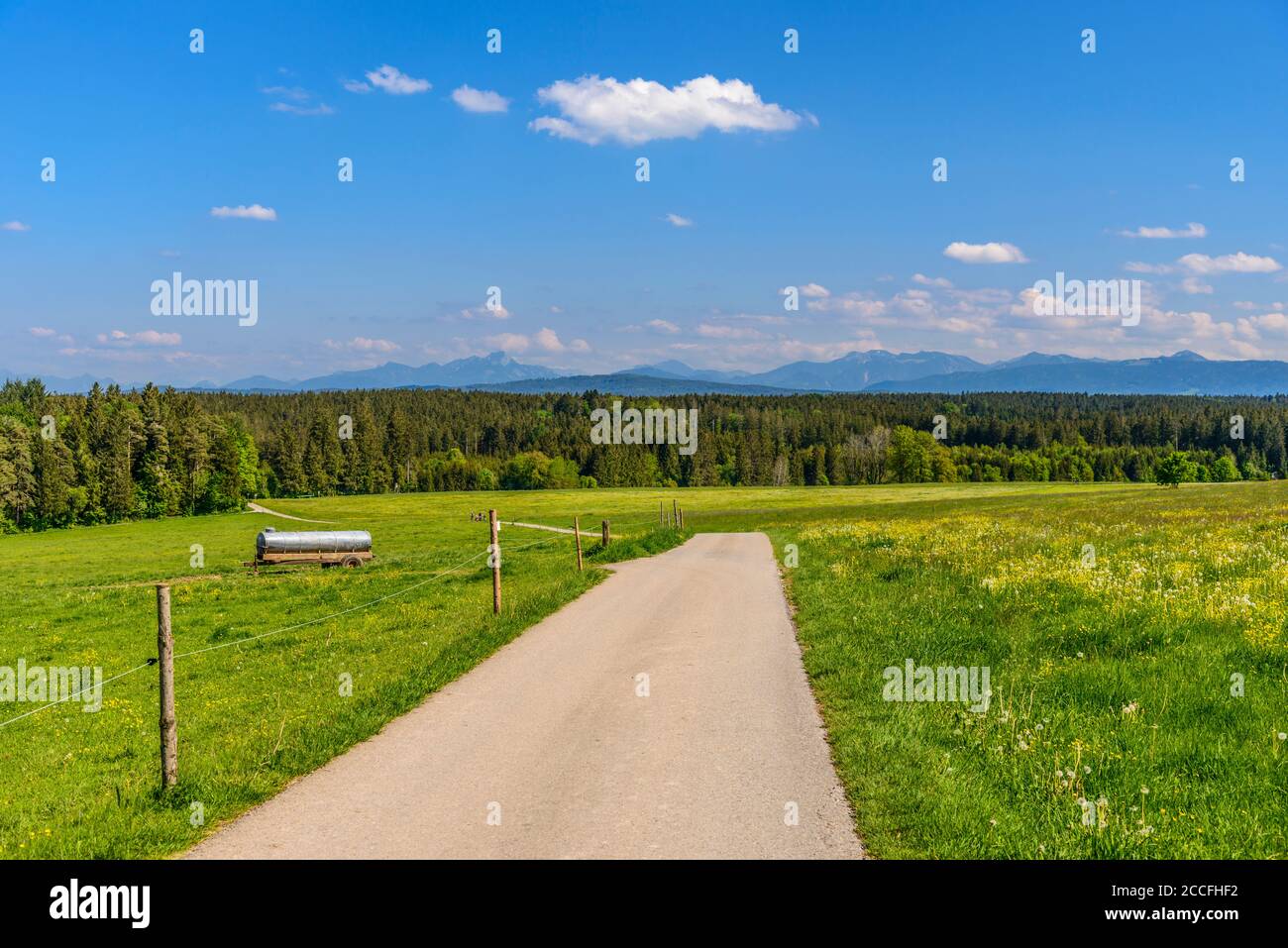 Allemagne, Bavière, haute-Bavière, Tölzer Land, Dietramszell, district de Jasberg, paysage de printemps contre chaîne alpine Banque D'Images