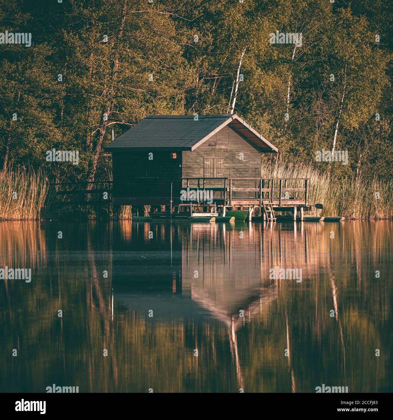 Haus am See, Vorsee, Wolpertswende, Bade-Wurtemberg, Allemagne, Europe Banque D'Images