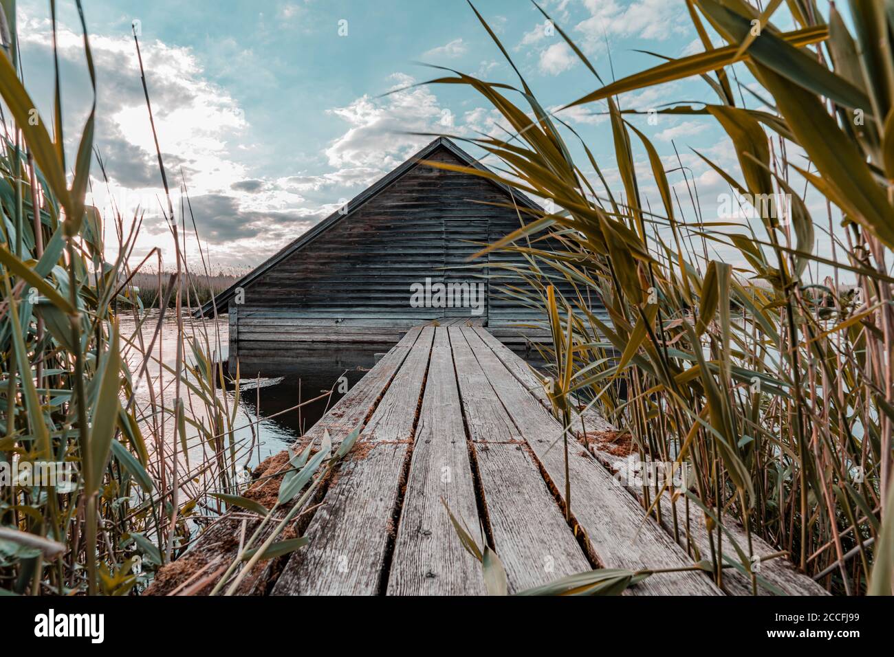 Boathouse, Federsee, Federseesteg, Bad Buchau, Bade-Wurtemberg, Allemagne, Europe Banque D'Images