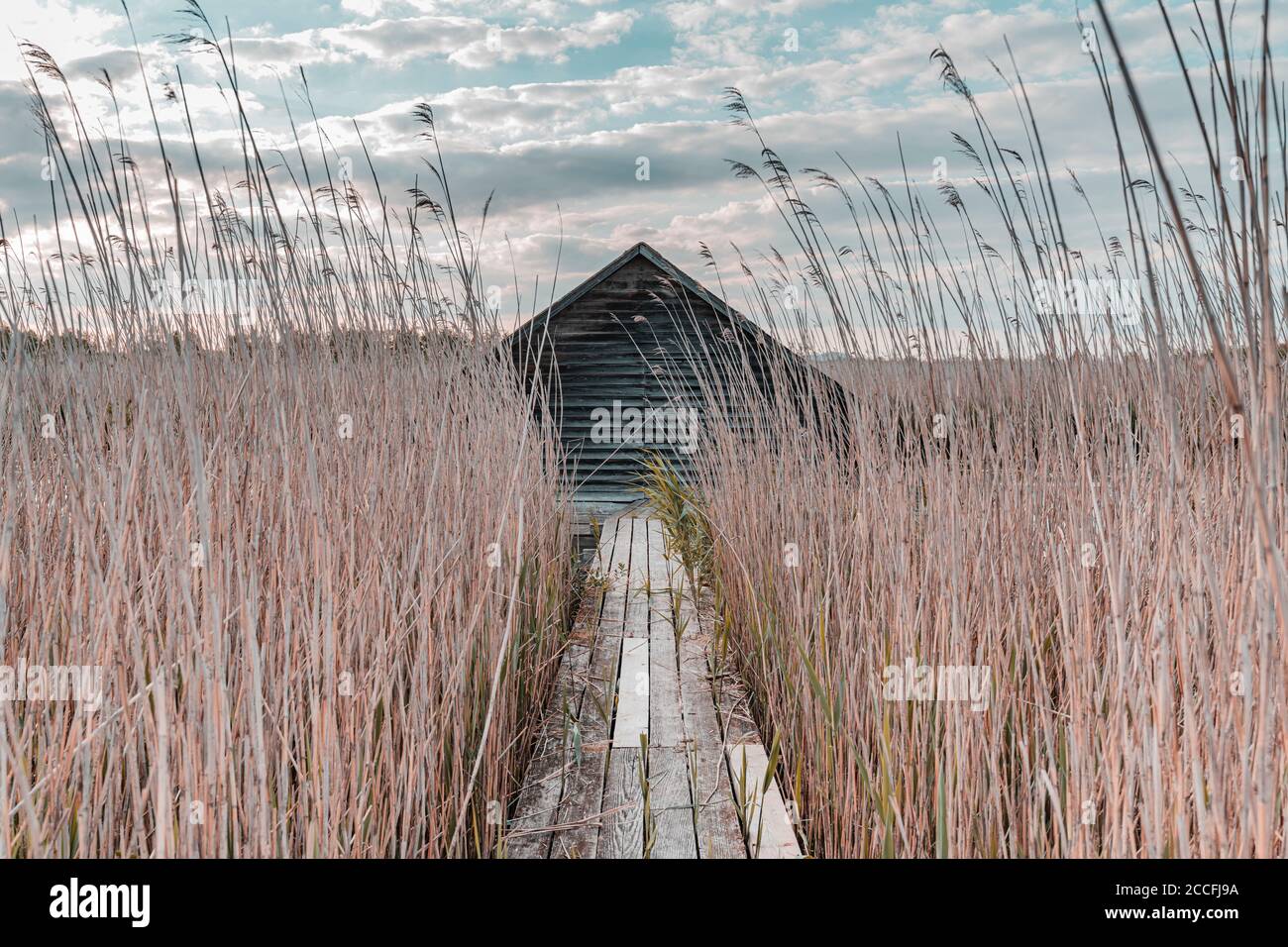 Boathouse, Federsee, Federseesteg, Bad Buchau, Bade-Wurtemberg, Allemagne, Europe Banque D'Images
