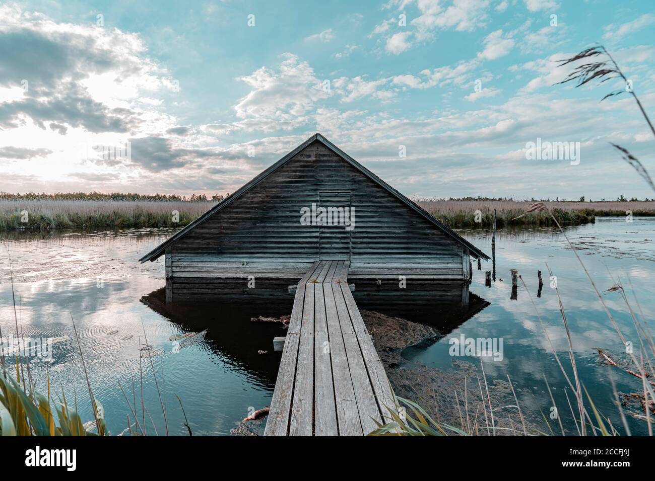 Boathouse, Federsee, Federseesteg, Bad Buchau, Bade-Wurtemberg, Allemagne, Europe Banque D'Images