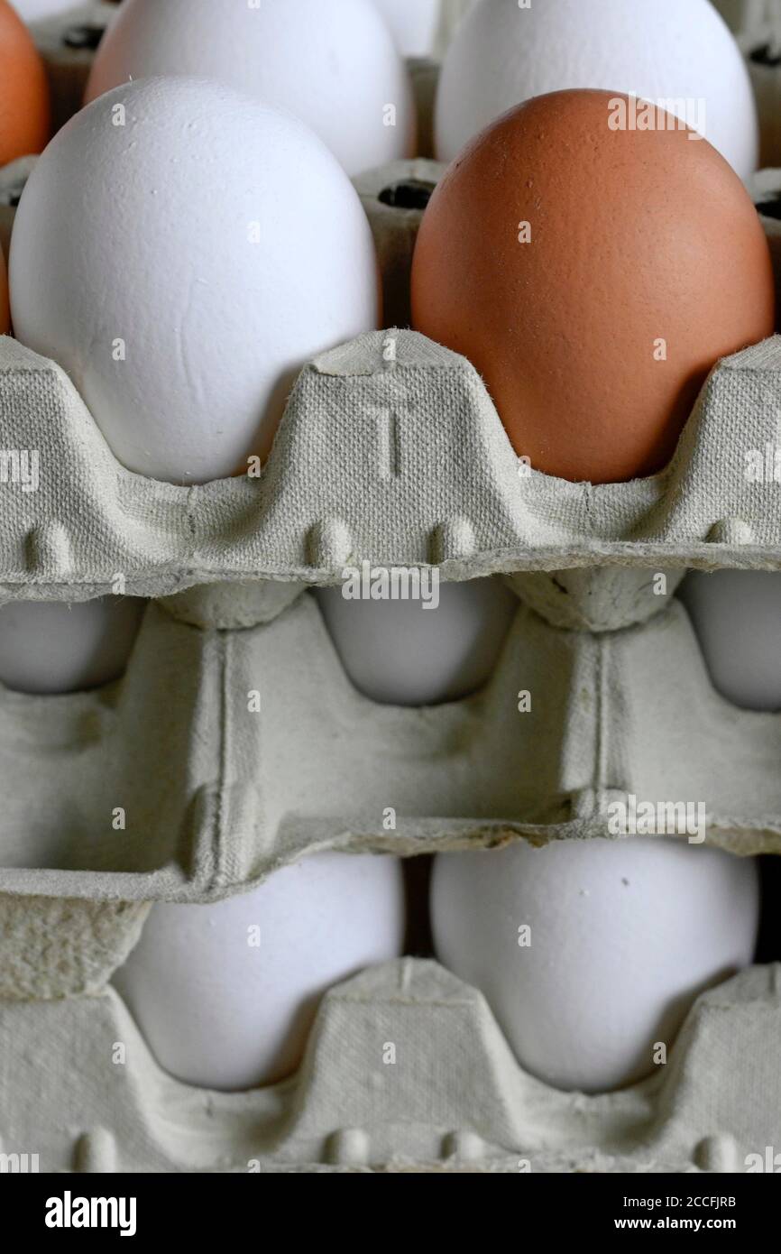Les œufs blancs et bruns Banque D'Images