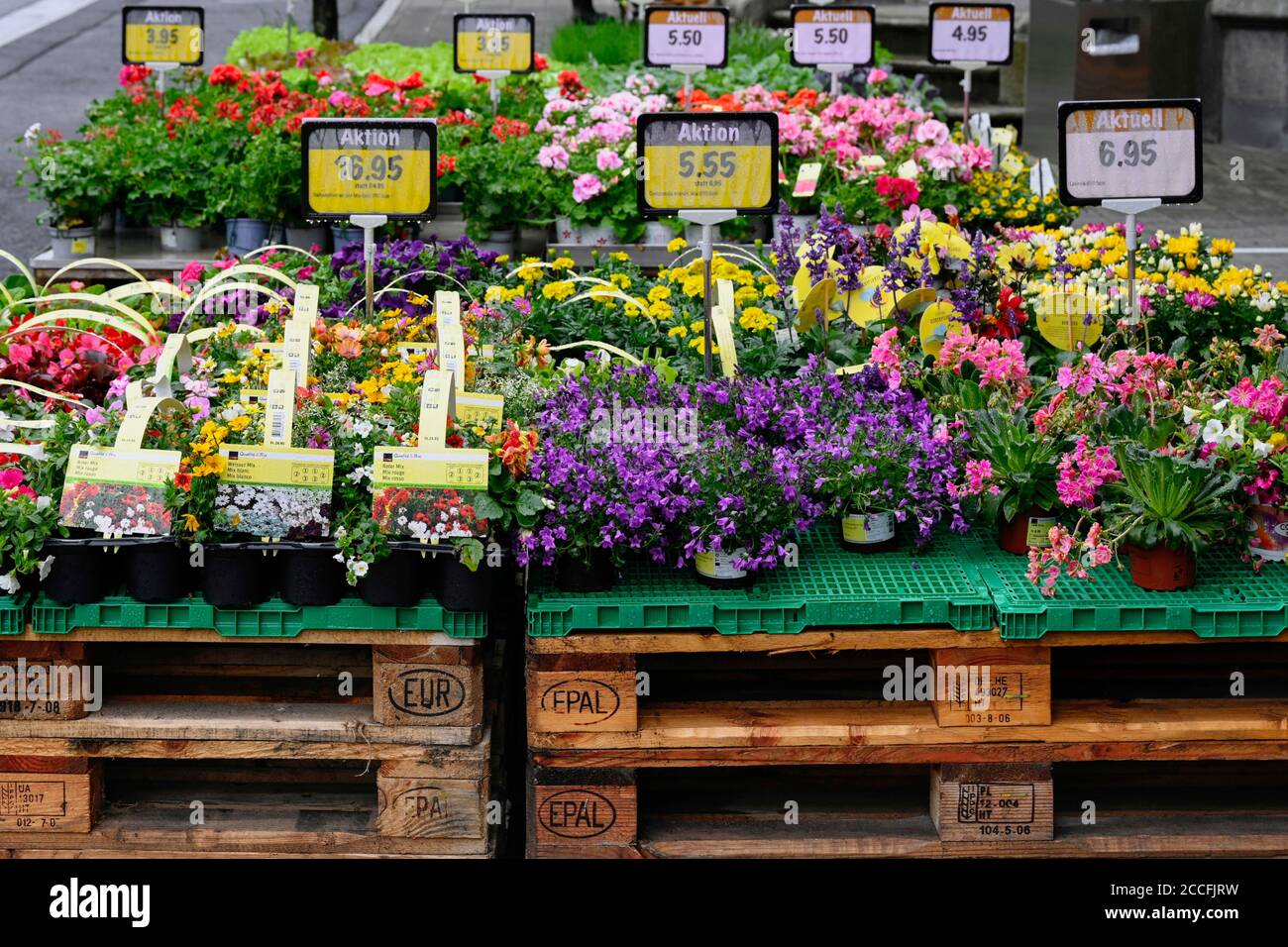 Stand de vente avec fleurs Banque D'Images