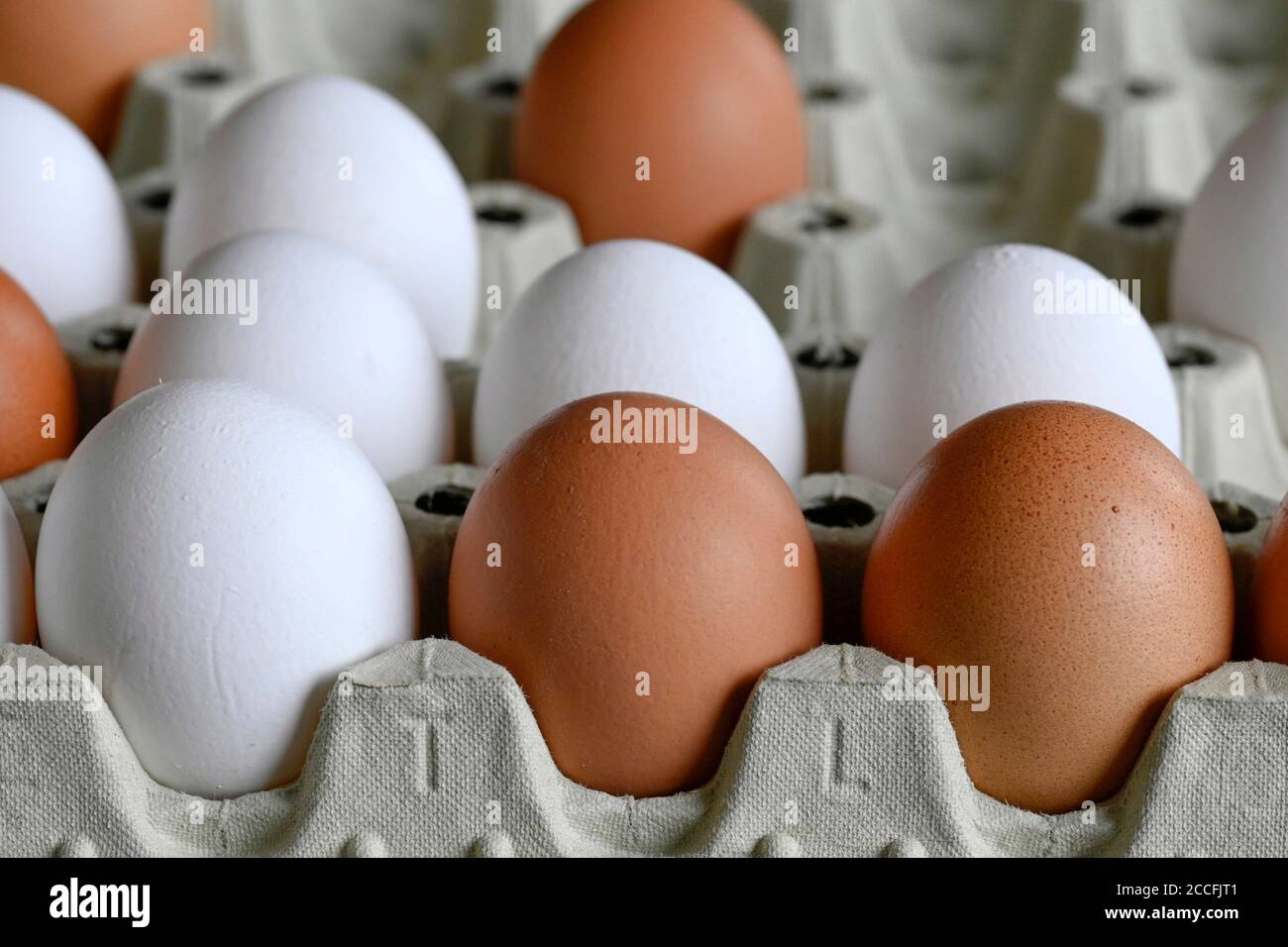Les œufs blancs et bruns Banque D'Images
