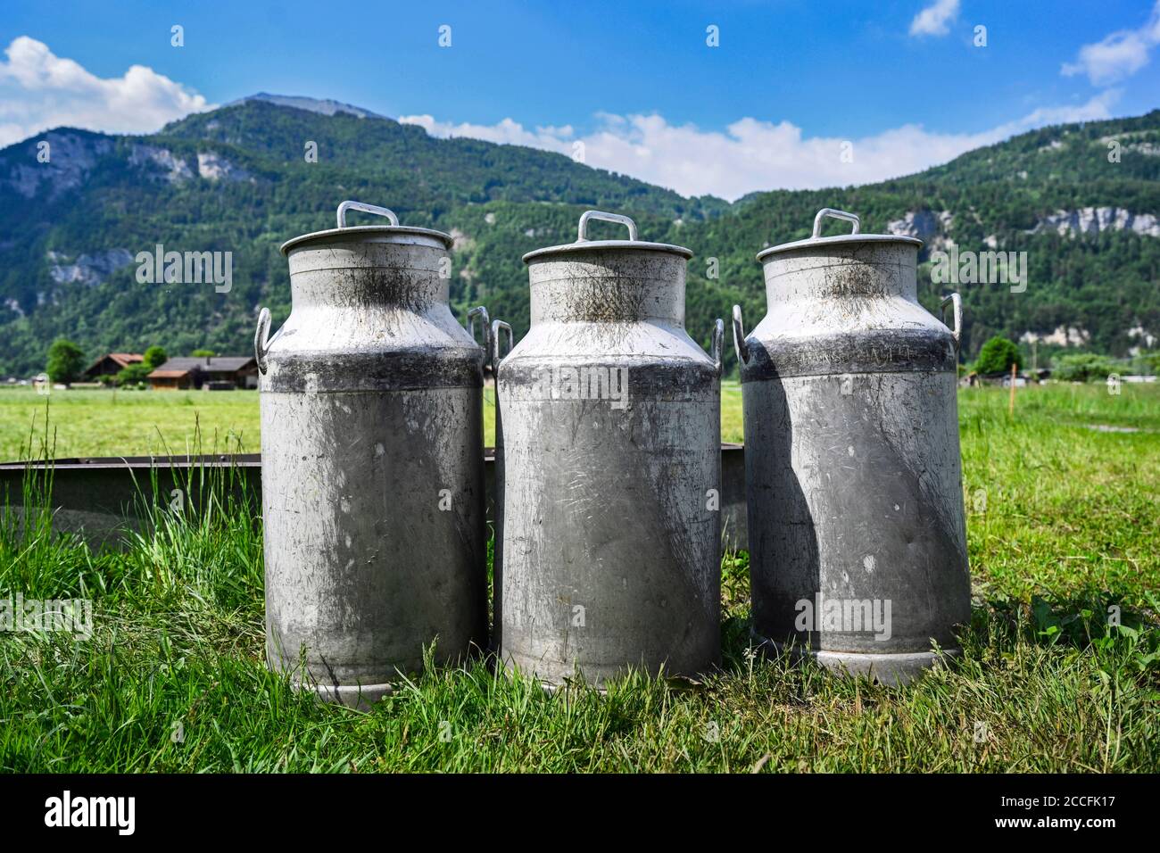 Des bidons de lait Banque D'Images