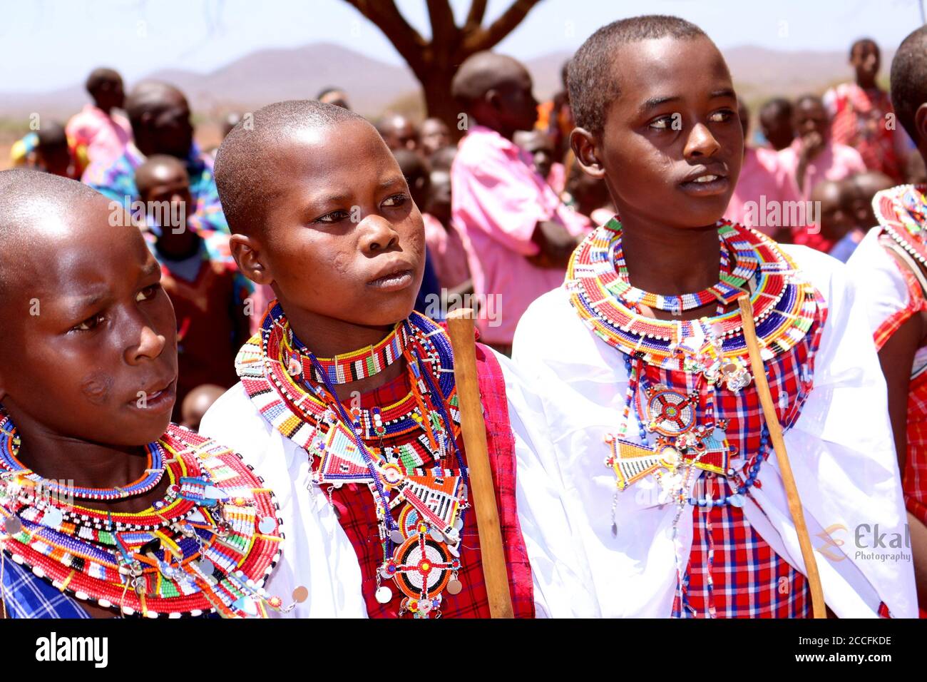 Filles de l'école de Maasai Banque D'Images