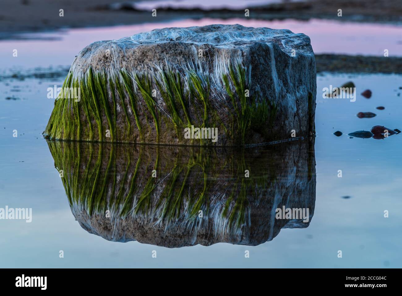 surcultivé avec de la pierre d'algues sur la rive de la mer et réfléchi dans l'eau avec le ciel Banque D'Images