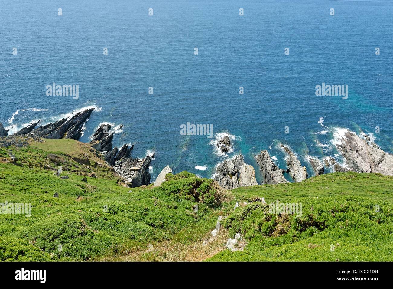 devon South West Coastal path Angleterre Royaume-Uni Banque D'Images