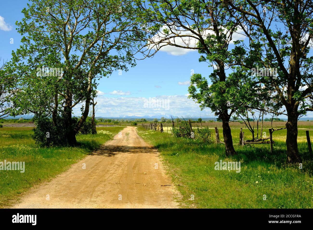 Paysage au lac Neusiedl près d'Illmitz dans le Parc National Neusiedler See, Burgenland, Autriche Banque D'Images