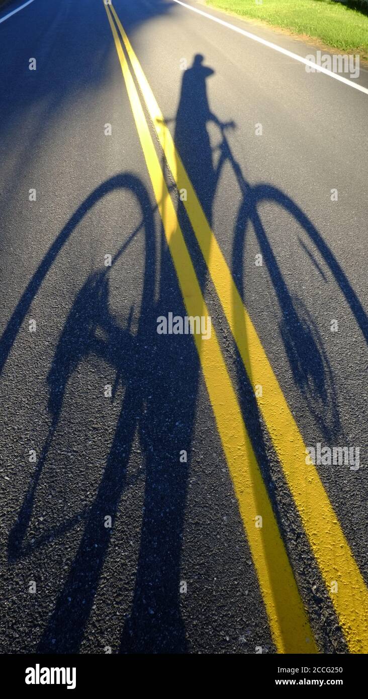 Ombre du cycliste projetée ou route, Lake Hill, NY Banque D'Images