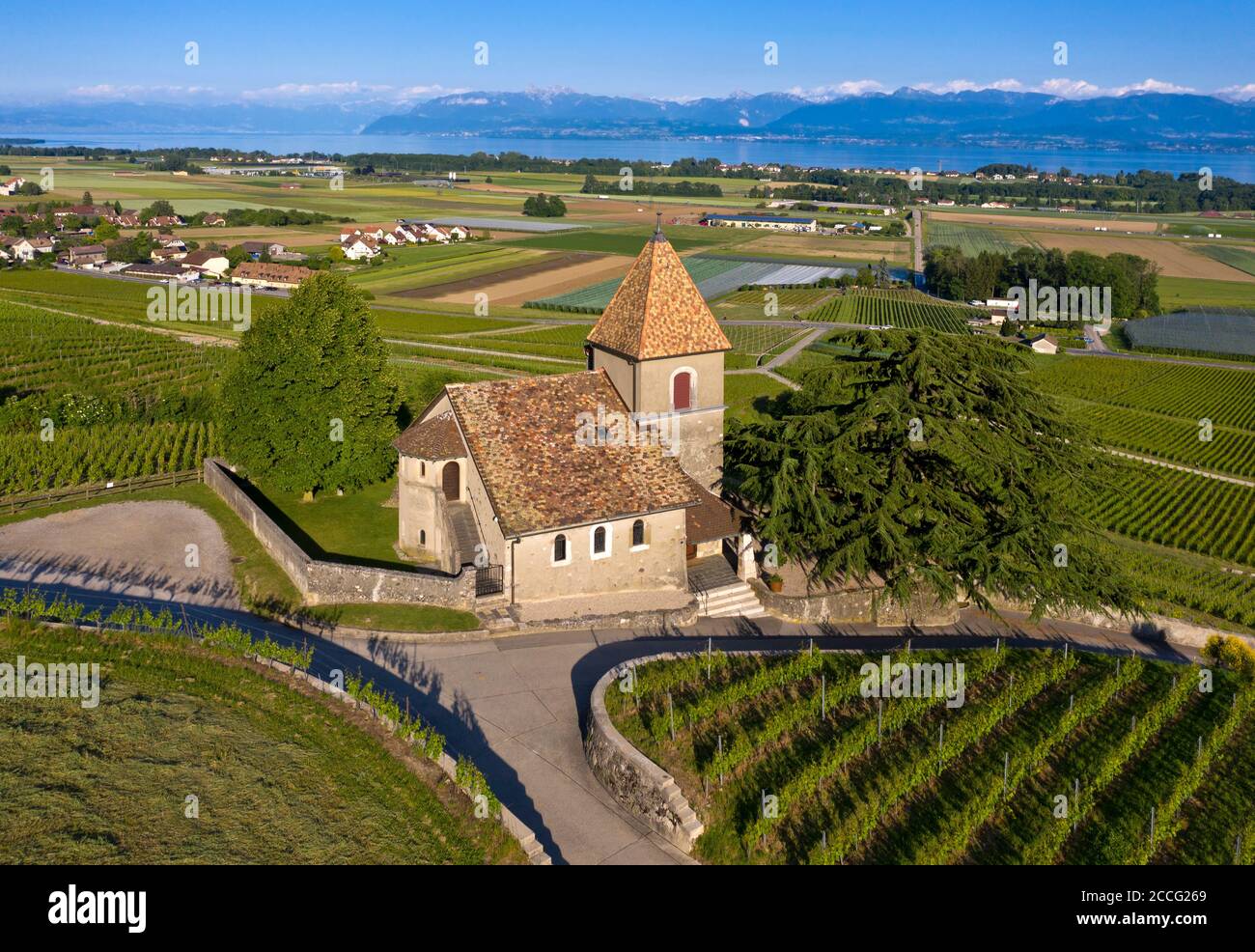 L'église de la Sentinelle, la gardienne, dans la région viticole de la Côte sur le lac Léman, Luins, Vaud, Suisse Banque D'Images