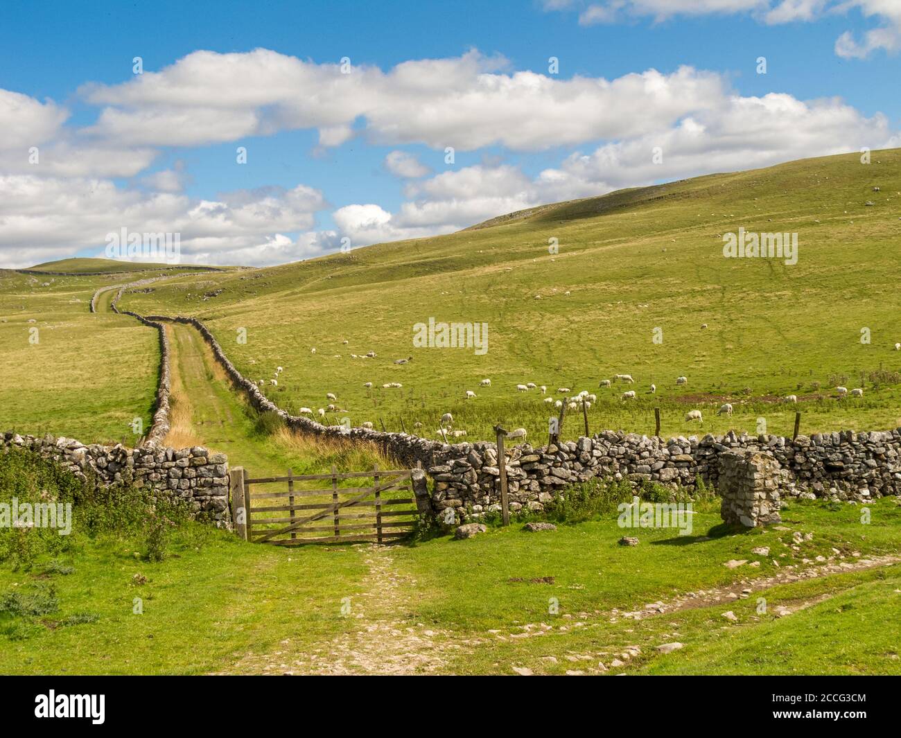 Mastiles Lane près de Malham dans les Yorkshire Dales Banque D'Images