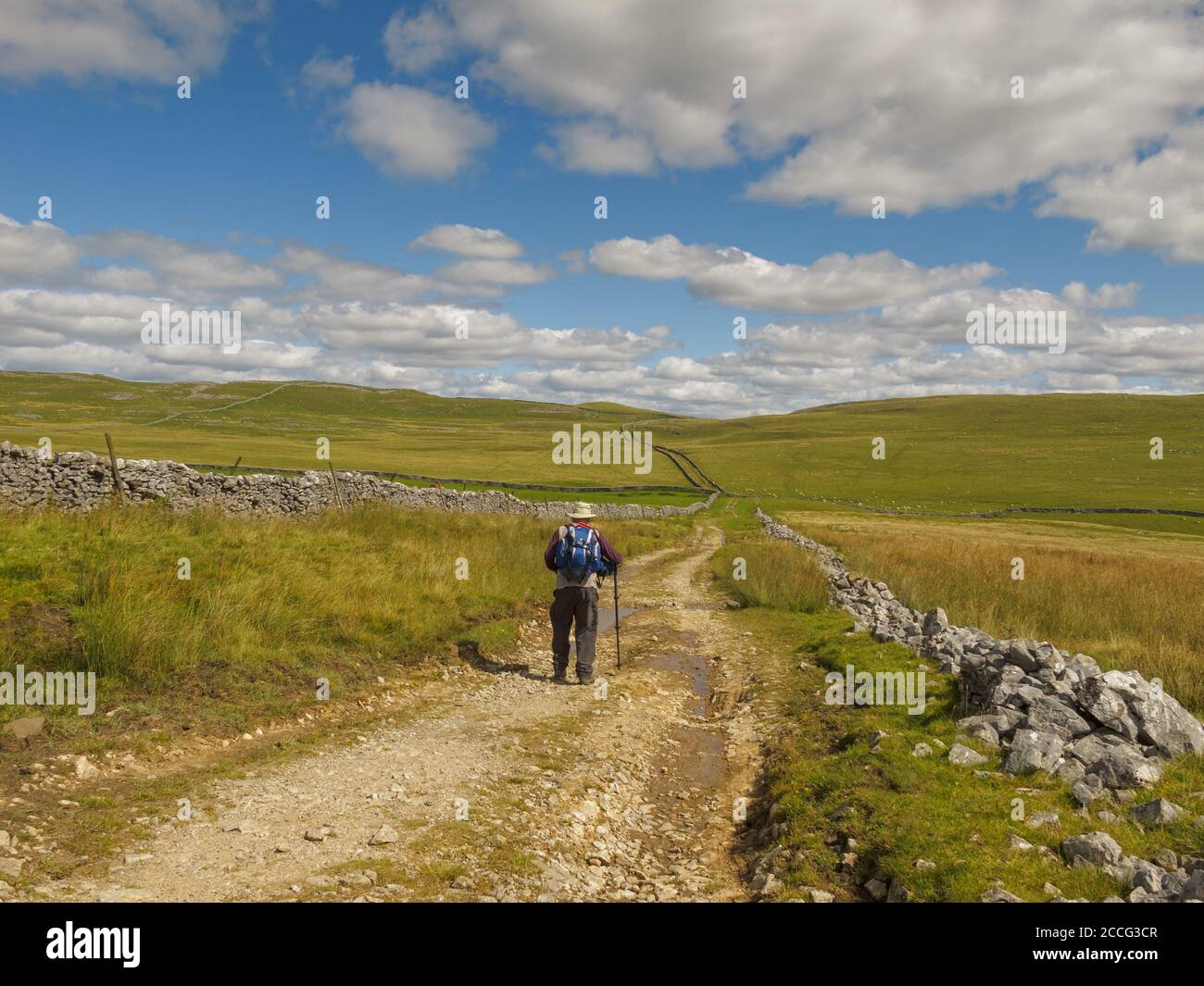 Mastiles Lane près de Malham dans les Yorkshire Dales Banque D'Images