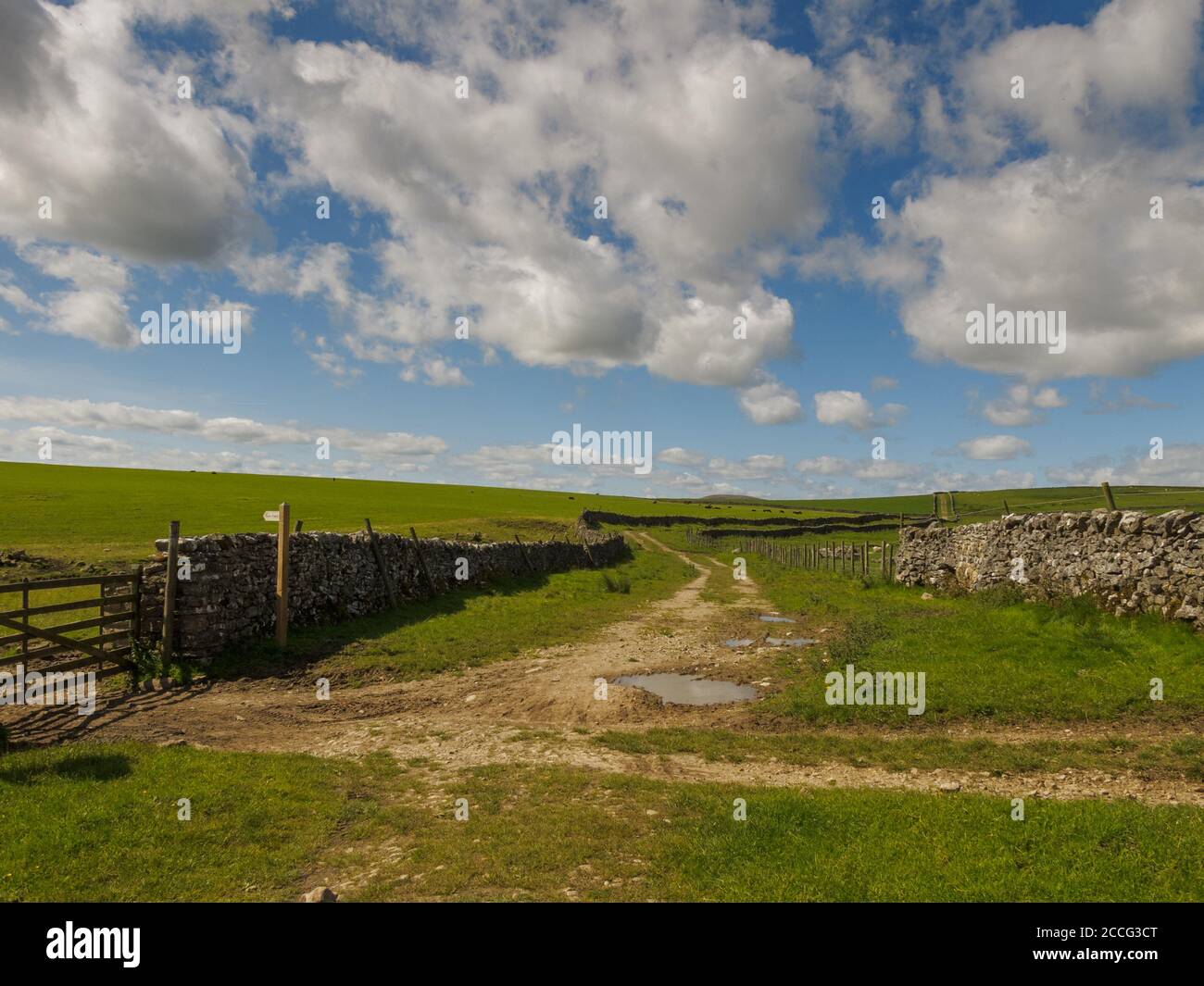 Mastiles Lane près de Malham dans les Yorkshire Dales Banque D'Images