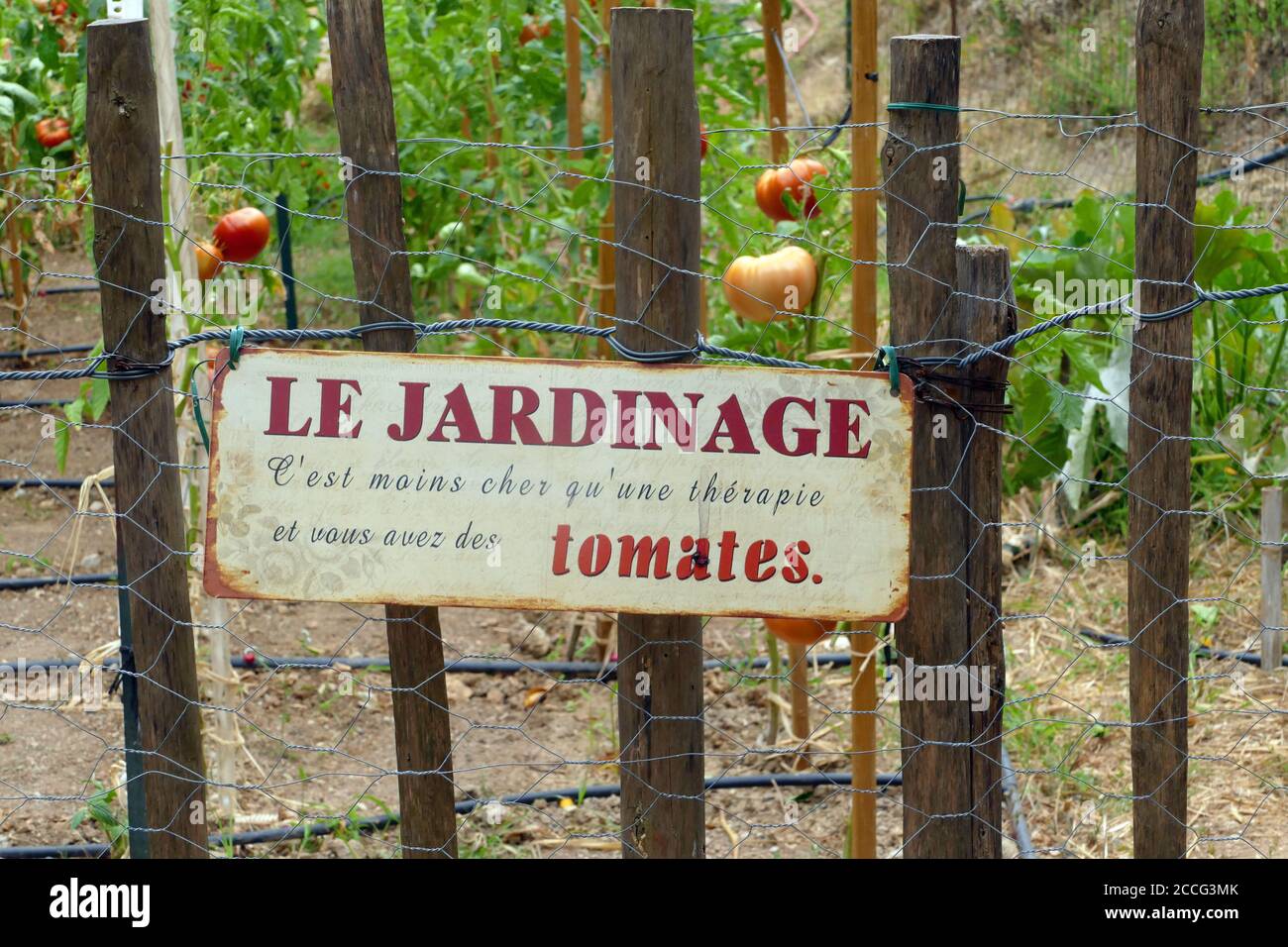 « le jardinage est moins cher que la thérapie et vous avez des tomates supplémentaires » Banque D'Images