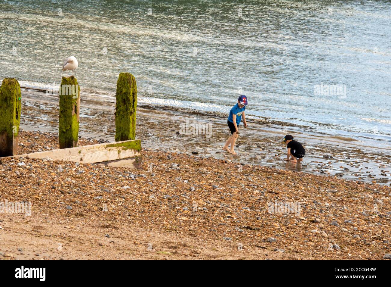 Deux garçons jouant et construisant avec du sable sur la plage pendant les vacances d'été en anglais. Un Goéland argenté se prése sur un brise-lames. Banque D'Images