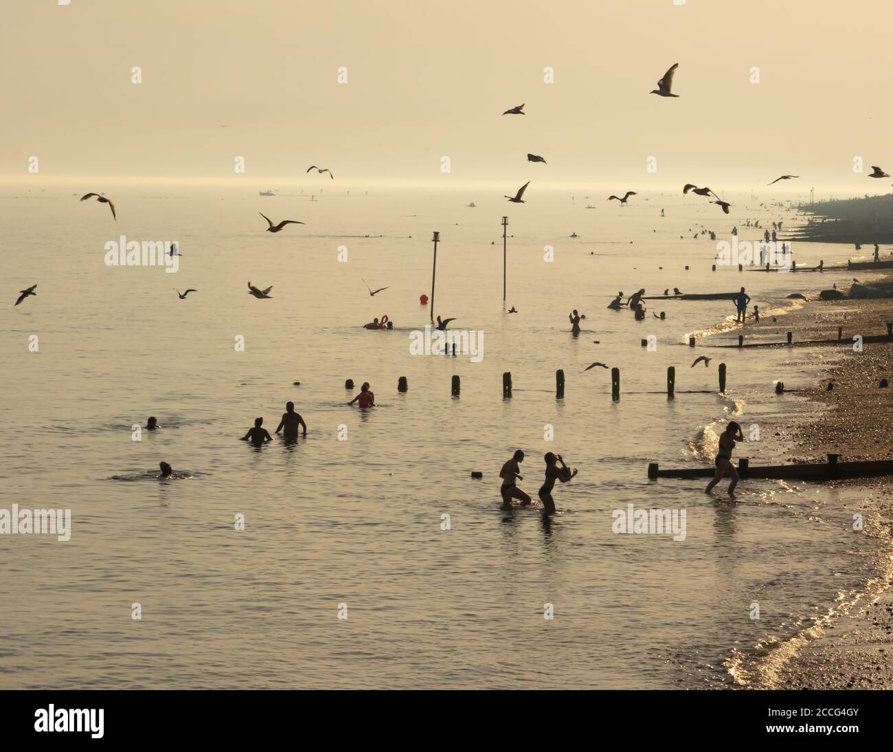 Les oiseaux de mer qui se fauchent donnent l'impression des oiseaux de Hiscock. Certains baigneurs regardent vers le haut et d'autres quittent l'eau Banque D'Images