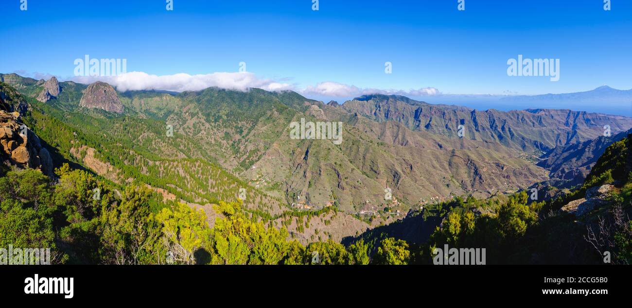 Monumento Natural de los Roques, colonie de la Laja dans le Barranco de la Villa, près de San Sebastian, la Gomera, îles Canaries, Espagne Banque D'Images