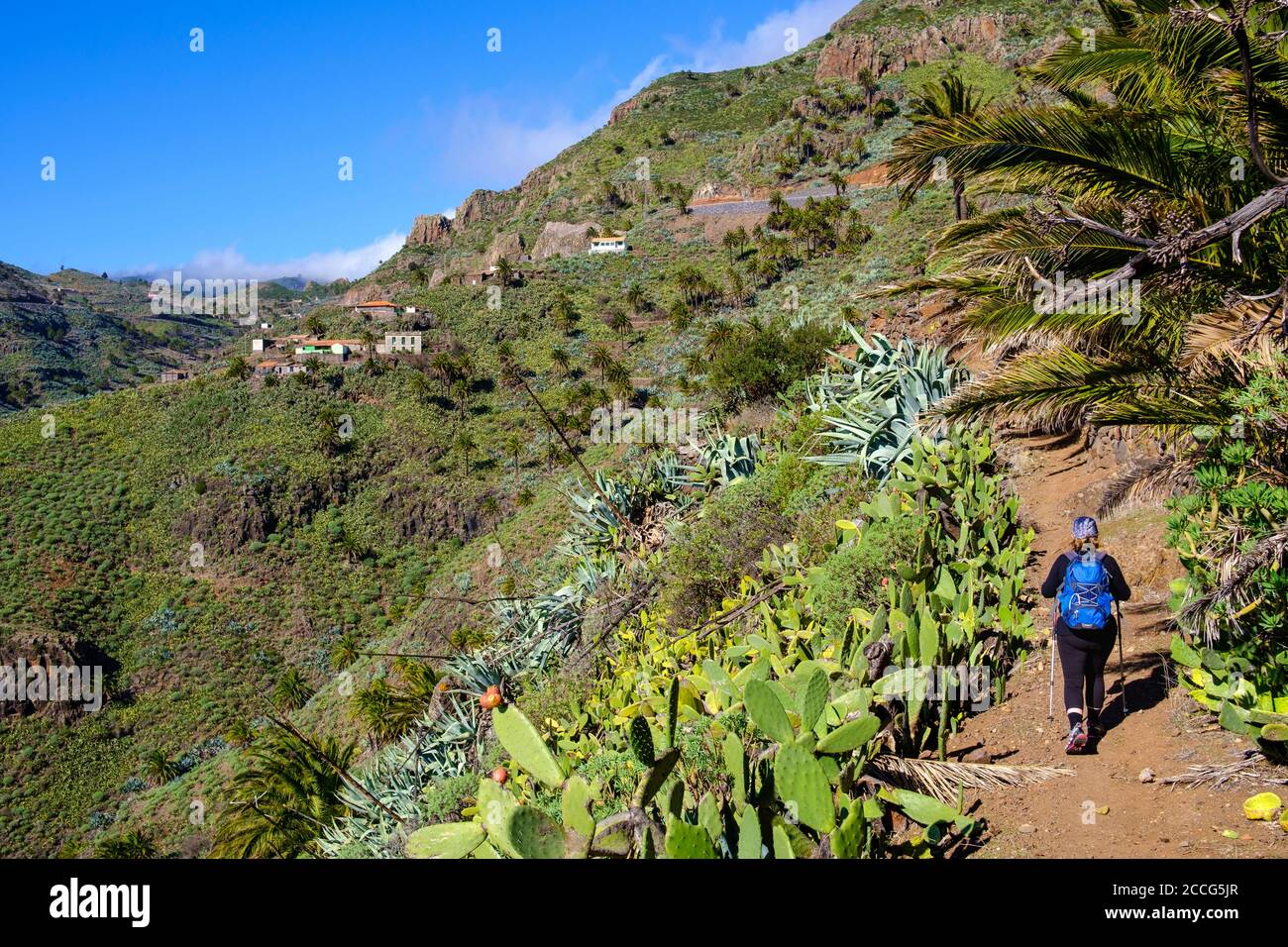 Femme randonnées sur le sentier de randonnée, village de Jerduñe, près de San Sebastian, la Gomera, îles Canaries, Espagne Banque D'Images