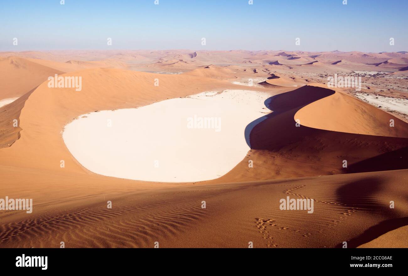 Dunes de sable du désert et Deadvlei dans la lumière du matin Banque D'Images