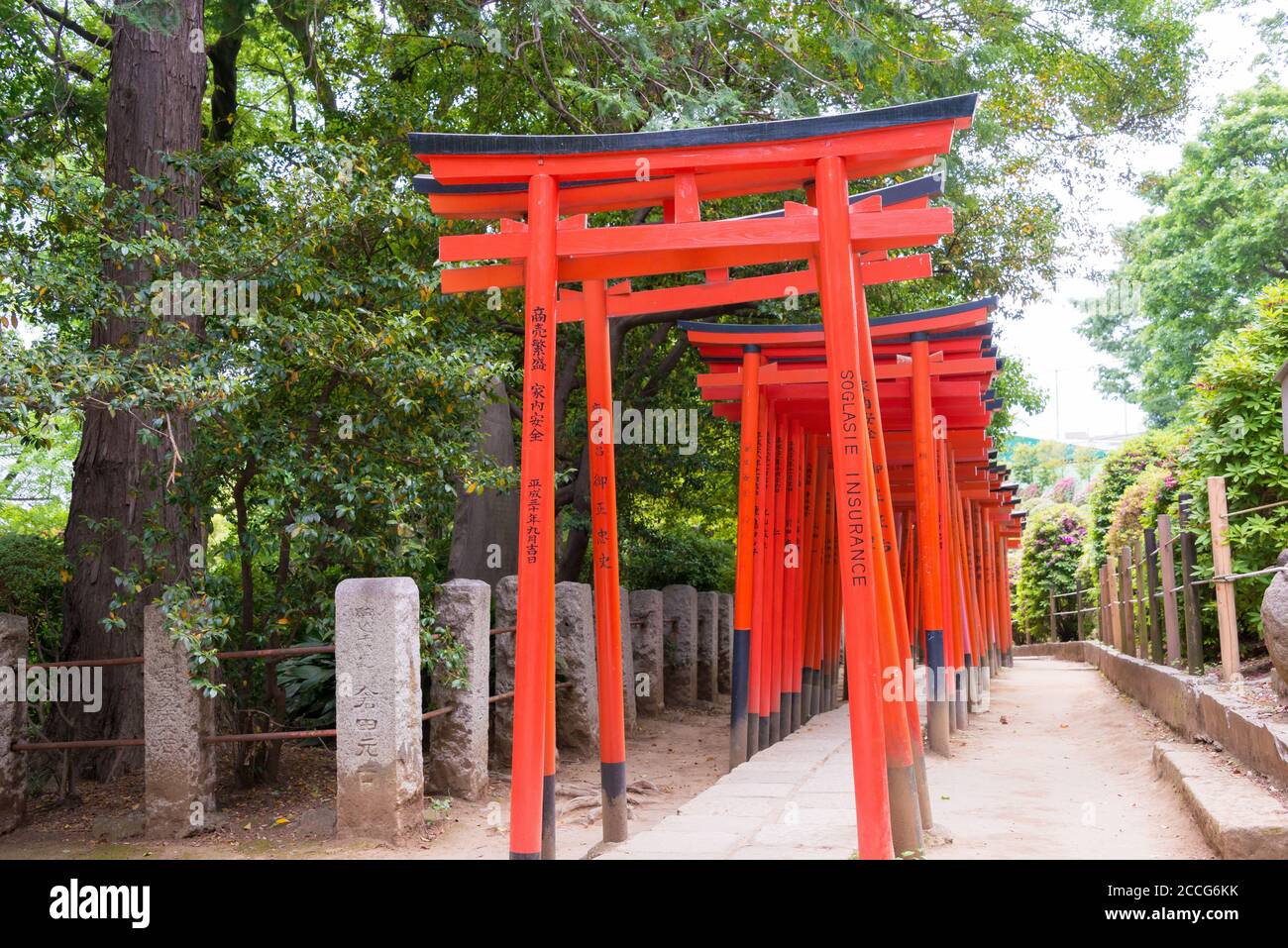 Tokyo, Japon - Sanctuaire Nezu à Tokyo, Japon. C'est l'un des dix Shrines de Tokyo. Banque D'Images