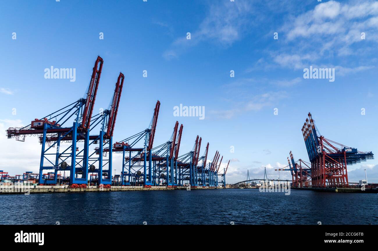 Grues dans le port de Hambourg Banque D'Images