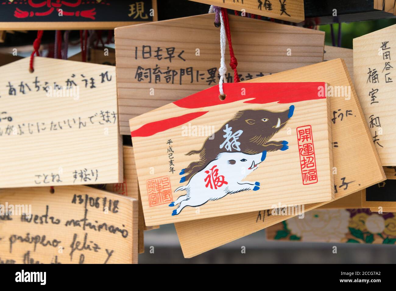 Tokyo, Japon - tablette de prière traditionnelle en bois (EMA) au sanctuaire Ueno Toshogu au parc Ueno à Tokyo, Japon. Banque D'Images