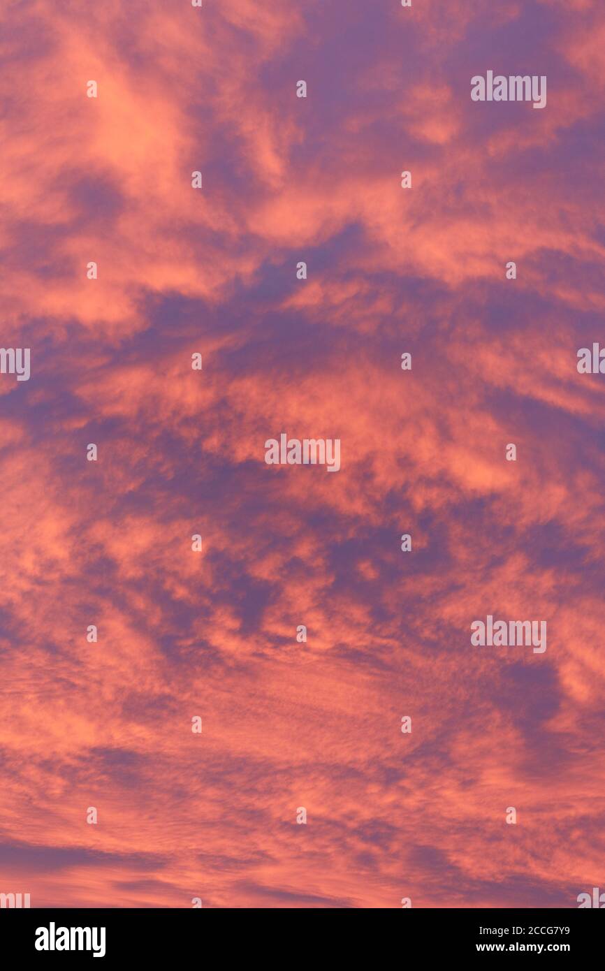 Europe, Allemagne, Basse-Saxe, Altenbruch. Illuminés par le soleil couchant, les nuages du soir brillent dans des formes abstraites. Banque D'Images