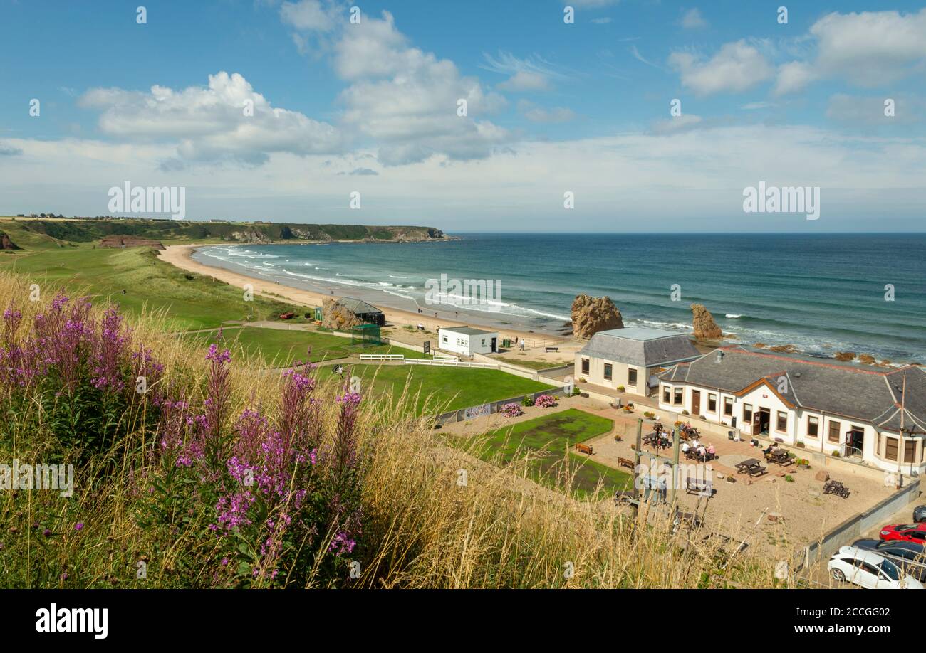 CULLEN BAY MORAY COAST SCOTLAND GOLF COURSE AND CLUB BUILDINGS ROSE BAY SAULE FLEURS CHAMAENERION ANGUSTIFOLIUM ET UN BLEU MER VERTE Banque D'Images