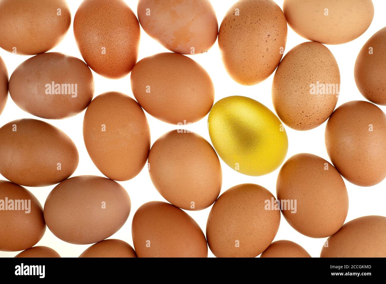 Gros plan poule aux œufs d'or de pâques entourée d'œufs frais de la nature sur fond blanc Banque D'Images