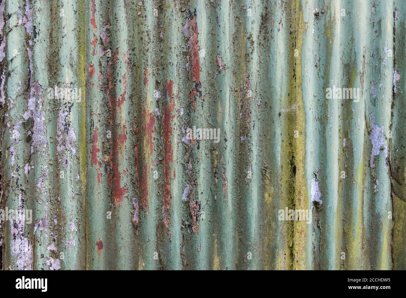 Couleurs orange et sarcelle décolorées, peinture écaillée et abri de jardin en étain ondulé rouillé avec des traces de l'ancien réseau de racines Ivy. Belle vieille texture de peinture. Banque D'Images