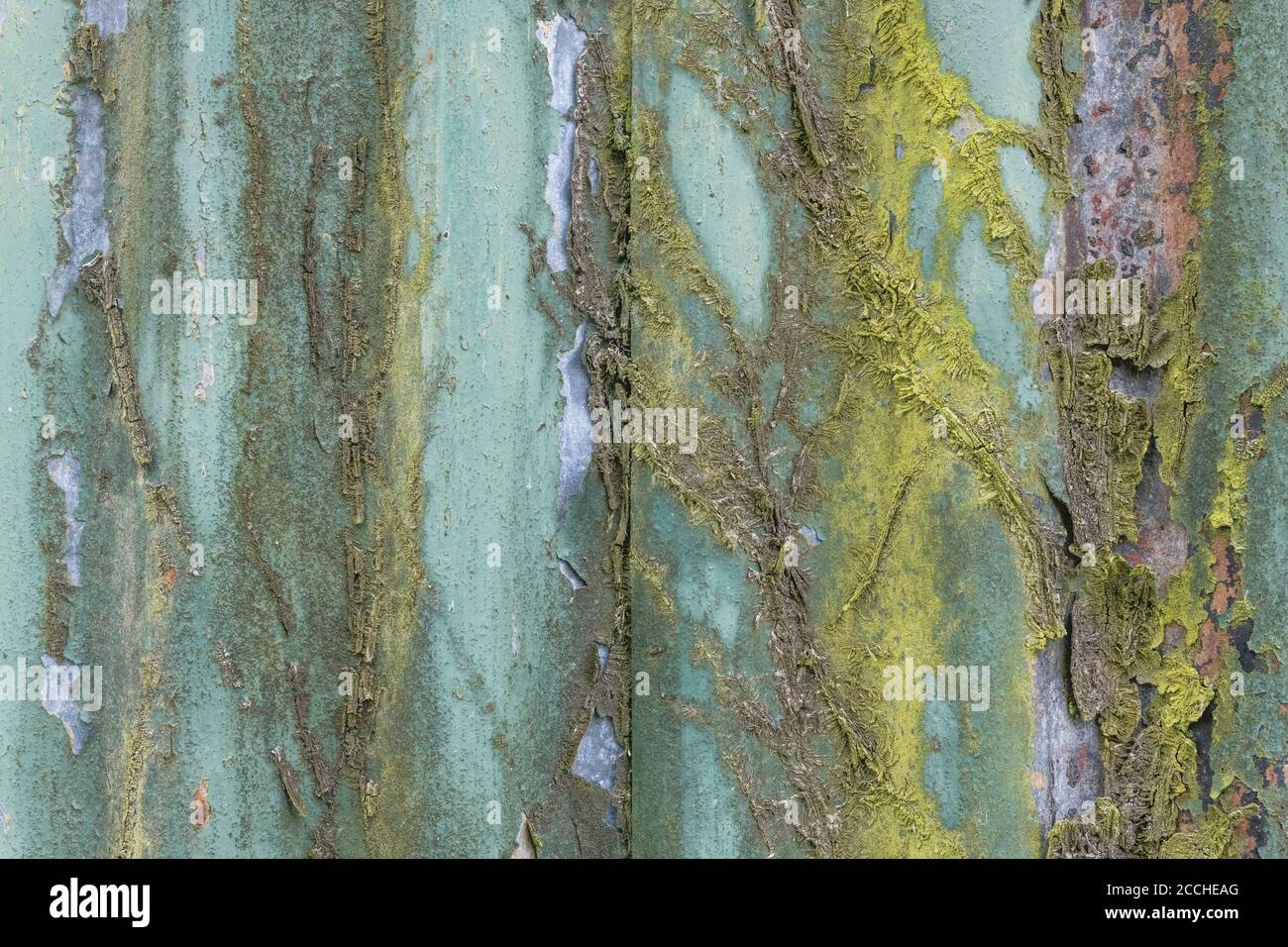 Couleurs orange et sarcelle décolorées, peinture écaillée et abri de jardin en étain ondulé rouillé avec des traces de l'ancien réseau de racines Ivy. Belle vieille texture de peinture. Banque D'Images