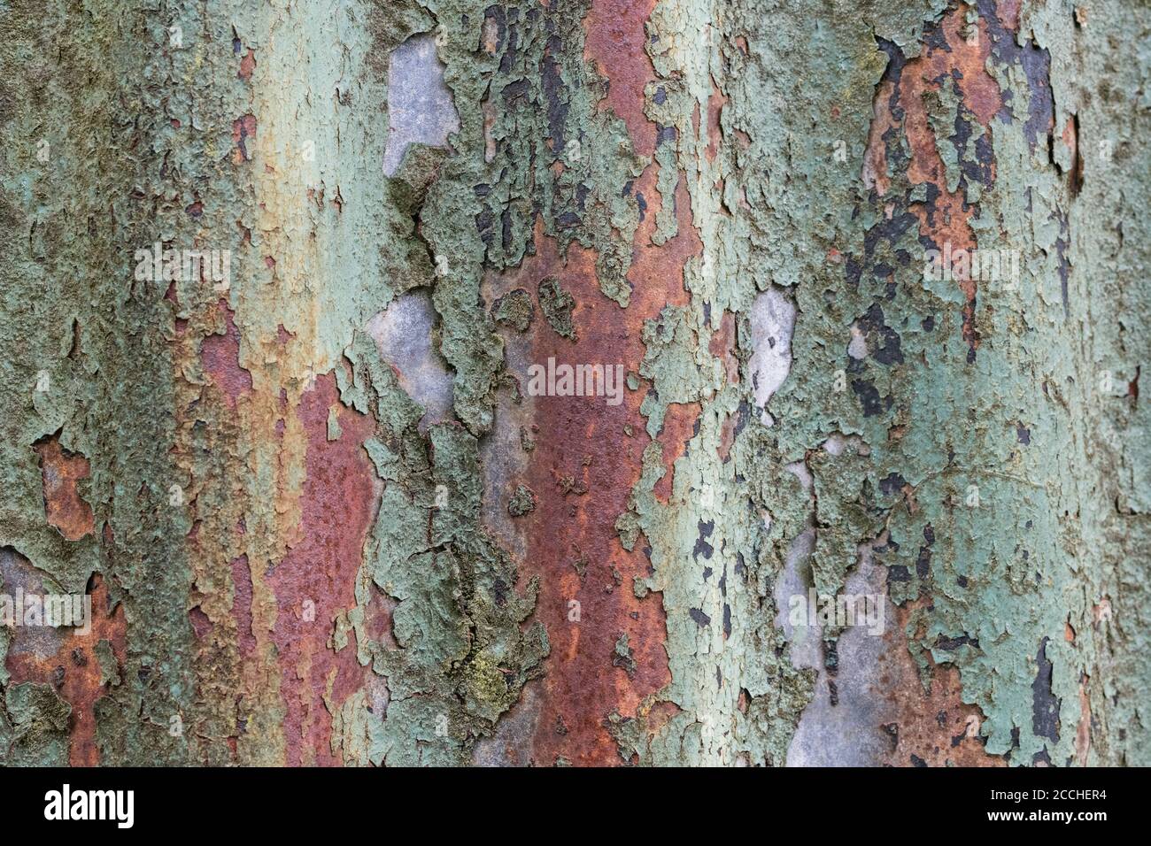 Couleurs orange et sarcelle décolorées, peinture écaillée et abri de jardin en étain ondulé rouillé.Belle vieille texture de peinture décolorée par la lumière. Banque D'Images