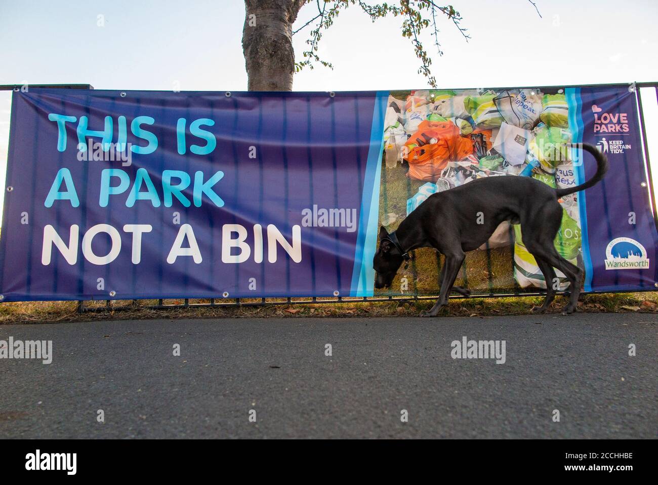 Affiche « c'est un parc n'est pas un bac » Wandsworth Common à Londres Banque D'Images