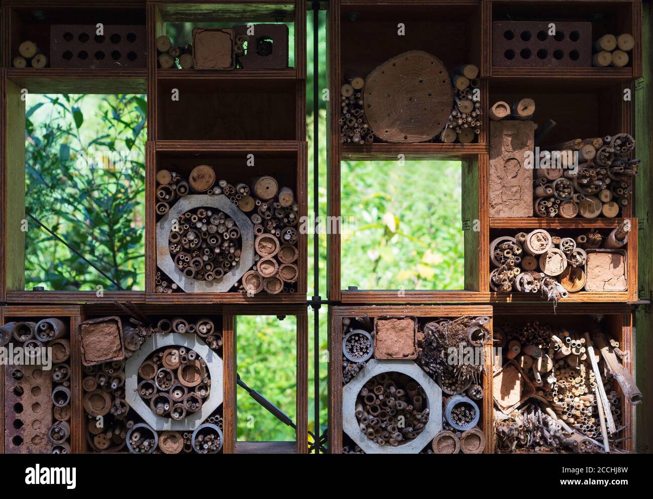 L'hôtel Bee de l'Université de Caroline du Nord, Asheville, offre un lieu aux pollinisateurs indigènes solitaires pour pondre leurs œufs et pendant l'hiver Banque D'Images