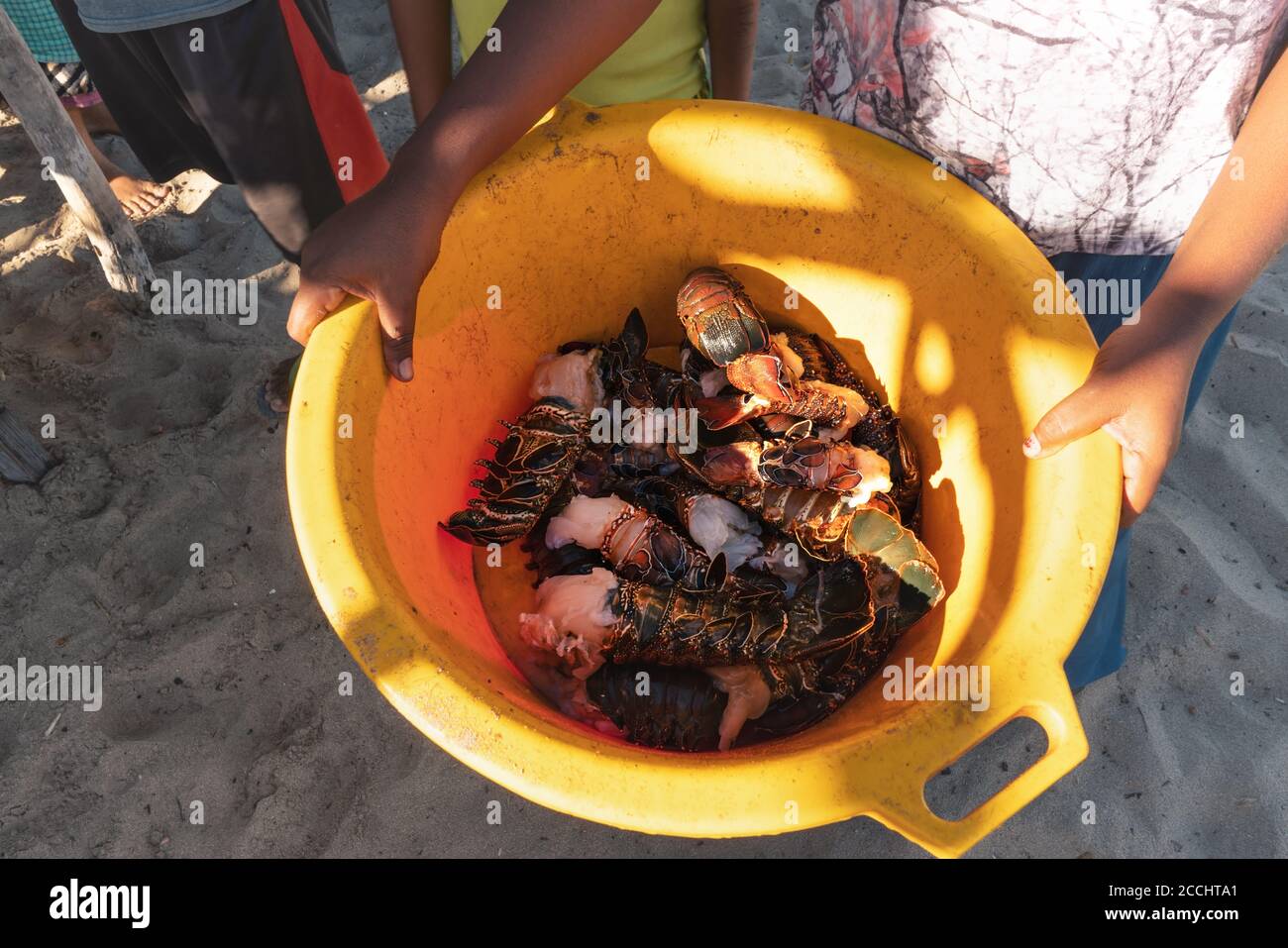 Femme locale montrant un bol en plastique jaune avec des fruits de mer crustacés fraîchement pêchés - crabes, langostino et homard. La pêche est l'une des principales sources de nourriture Banque D'Images