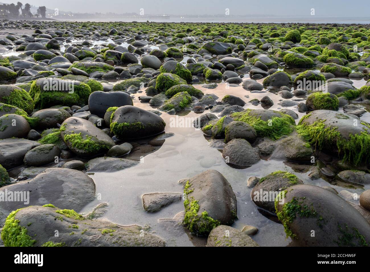 Eau de l'océan piégée dans une piscine à marée basse pendant une marée basse extrême sur les plages du sud de la Californie. Banque D'Images